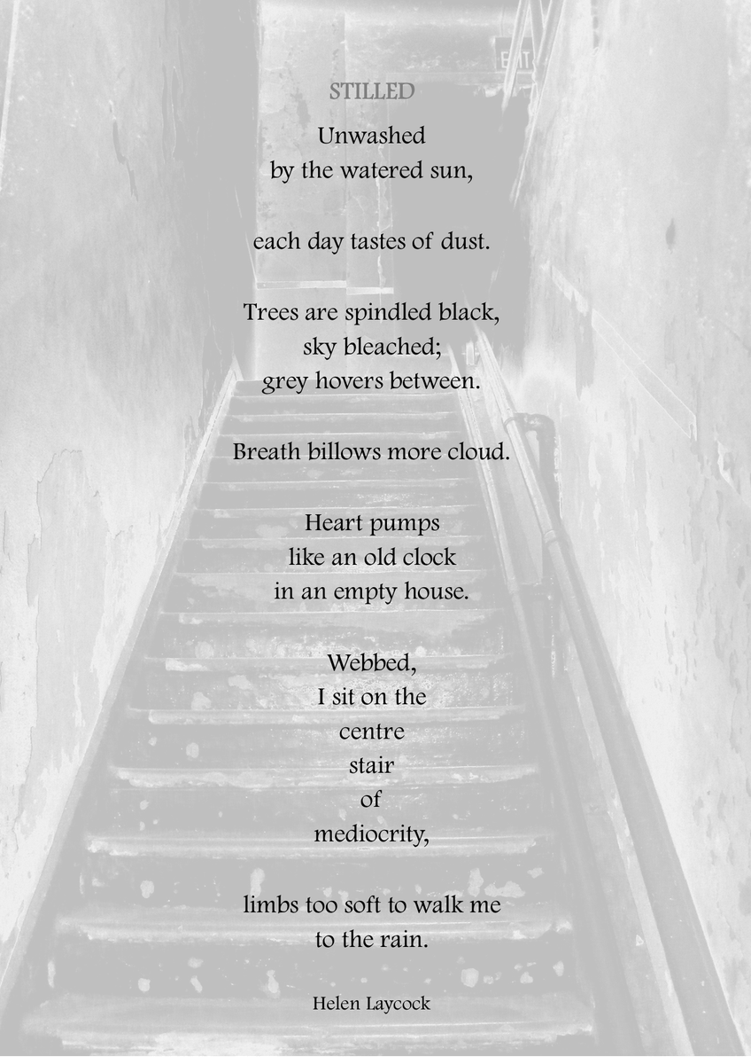 helen_laycock's tweet photo. Despite being a relatively happy person, I seem to have a huge batch of #poems exploring misery... 
I hope this one - 'Stilled' - doesn't leave you feeling low, @TopTweetTuesday @blackboughpoems &amp; @PhillipaTrelfo1 🙏

#poetry #poetrycommunity 

(It also fits #vss365, with #day) https://t.co/6JlsNS8Dpk