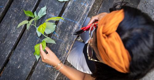 AssoCreaq's tweet photo. 🌱Contribuez au OFF, volet grand public des Assises de @BxMetro qui organise du 23 au 25 mai 2023, la 24e édition des Assises européennes de la transition énergétique.

Plus d'infos et inscriptions 👇
https://t.co/zm3R2OrpxC https://t.co/EXmFx59Q9Z