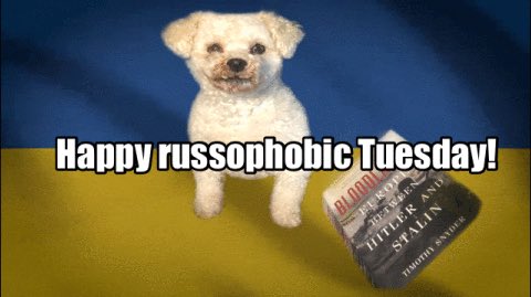 ukrainewillwin7's tweet photo. #ZelenskyWarHero 
#UkraineWillWin
#RussiaIsATerroristState #RussiaIsANaziState #RussiaIsLosing #RussiaIsCollapsing #RunOnRussianBanks #RussianBankPanic #ArmUkraineNow
#ArmUkraineFully
#GiveUkraineEVERYTHING
#LongRangeMissiles #FixedWingAircraft #ATACMSforUkraine #FreeTheLeopards https://t.co/Q7OyBThevr