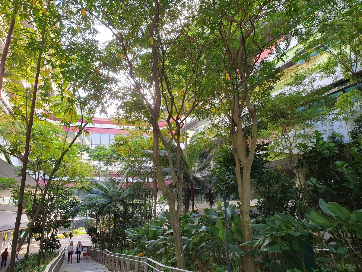 Dr Rachael Lappan (@rachaellappan) on Twitter photo I'm very fortunate to be attending #GYSS2023 in #Singapore this week with <a href="/PiroozZareie/">Pirooz Zareie</a> and <a href="/DrMeilingHan/">Meiling Han</a>! A beautiful city. Looking forward to many great insights from Nobel laureates this week. Connect with me on Twitter if you're here! I'm very fortunate to be attending #GYSS2023 in #Singapore this week with <a href="/PiroozZareie/">Pirooz Zareie</a> and <a href="/DrMeilingHan/">Meiling Han</a>! A beautiful city. Looking forward to many great insights from Nobel laureates this week. Connect with me on Twitter if you're here!