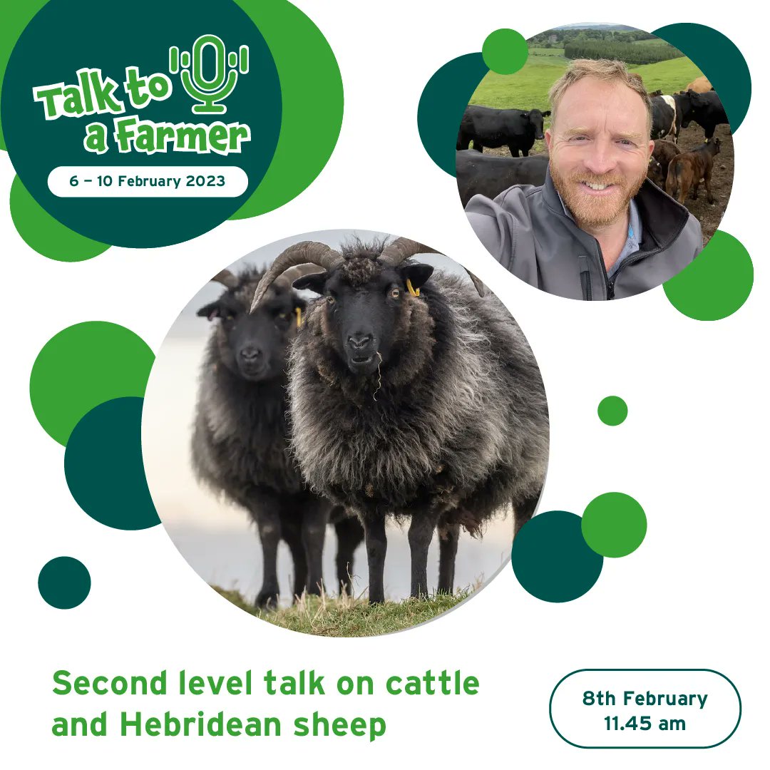 Join Aly at 11.45am on the 8th February to find out more about cattle and hebridean sheep. 🐮🐏  

Trailer: buff.ly/3k9RQI4 
Register: buff.ly/3H7JSIs  

@RHETDLR <a href="/eSgoil/">e-Sgoil</a> <a href="/DYWScot/">DYW Scotland</a> <a href="/EducationScot/">Education Scotland</a> 
#TalkToAFarmer #openinguptheclassroom #NeLO #DYWLive