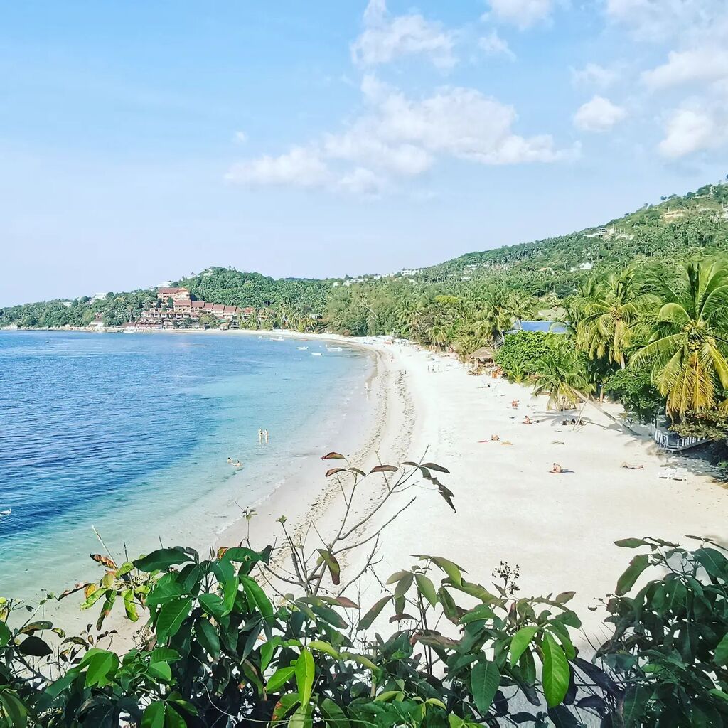 Björn Puls✨ tweet media