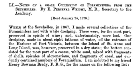 Shai Oron tweet media