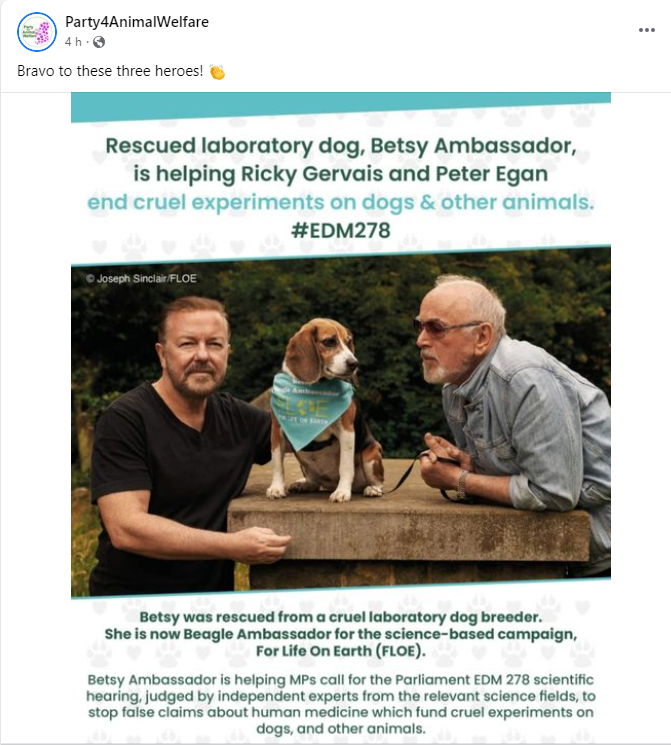 Bravo to these three heroes! 👏
Rescued laboratory dog  #BetsyAmbassador @BetsyAmbassador
is helping #RickyGervais  @rickygervais  ad #PeterEgan @PeterEgan6 end cruel experiments on dogs & other animals.  #EDM278