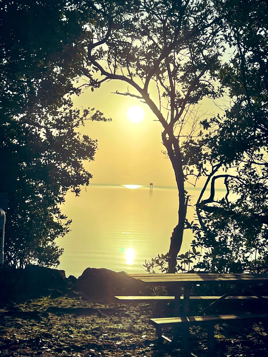 Good morning ~ 

Wishing you a beautiful &amp; wondrous day! 

Peace &amp; love to you 🫶