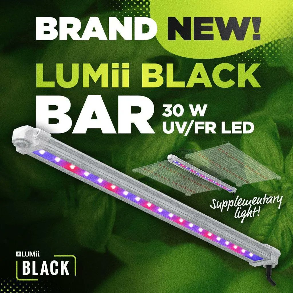 EmporiumHydro's tweet photo. The LUMii Black Bar 30w UV/FR LED is a simple bar-format LED light which provides supplementary UV and Far-Red light to extend the spectrum of light provided by other light sources.

Designed to be attached to the LUMii Black Blade 400w LED fixture https://t.co/8jjuRi5P9J