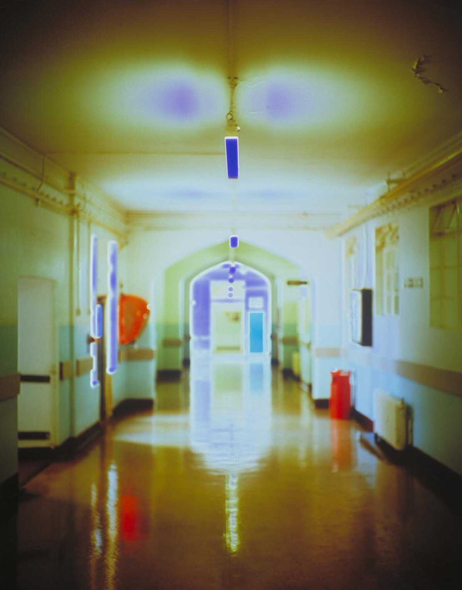 Stefan Chen tweet media