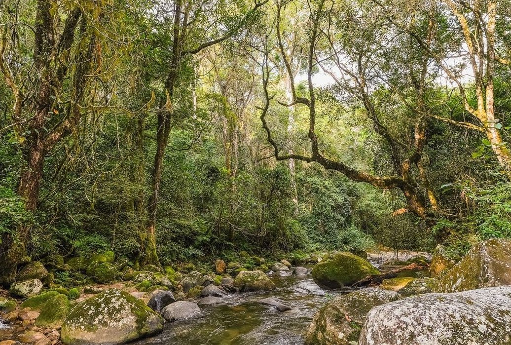 ZtaUpdates's tweet photo. Nothing says PEACE, like the serenity of the #EasternHighlands!

📸: @offthetrackzw and @farandwidezim
#VisitZimbabwe 
#ZimBho https://t.co/yvd0Ea1zTS