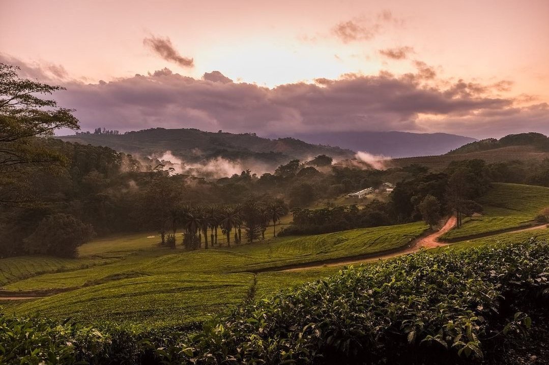 ZtaUpdates's tweet photo. Nothing says PEACE, like the serenity of the #EasternHighlands!

📸: @offthetrackzw and @farandwidezim
#VisitZimbabwe 
#ZimBho https://t.co/yvd0Ea1zTS