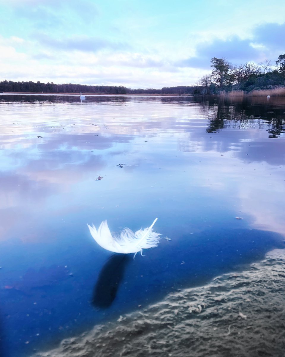 CavePhotography's tweet photo. Calming place to calm the mind &amp; soul 🥰 #Sweden #CALM #winter #seascape #sea https://t.co/Op9bF7Udbx