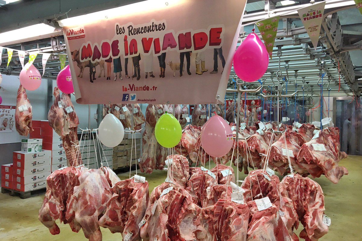 florimond_p's tweet image. Ce sont de vrais photos.