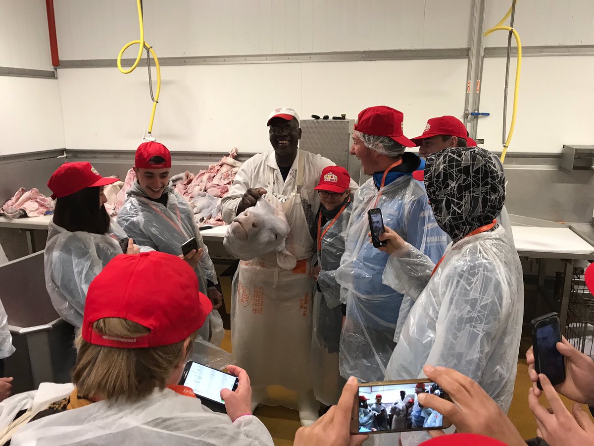 florimond_p's tweet image. Ce sont de vrais photos.