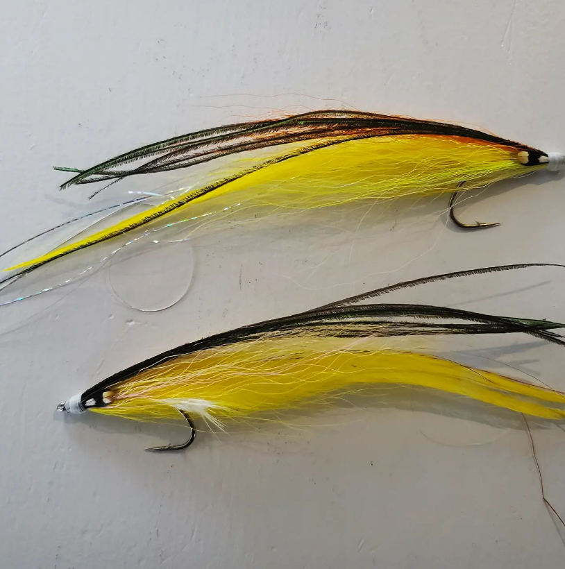Saltwateronfly's tweet photo. Sleek and effective
@southshoreflynerd
Funny how well yellow plugs work for #stripedbass sometimes. Might as well add some yellow to the box.
#flatwingflies #flatwing_fishing #flytying #flyfishing #stripedbassonthefly #saltwaterflytying #saltwaterflyfishing https://t.co/AJ09t0eKHj
