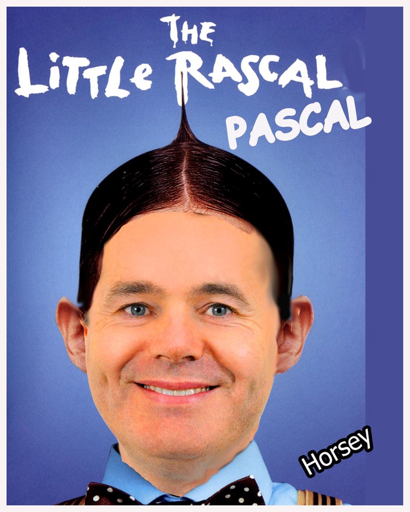 horseymatilda's tweet photo. Alison O'Connor "Paschal is universally well liked including by journalists". Pascal The Rascal loved by the media 😂  #TonightVMTV #rtept https://t.co/qSCV6RtScg