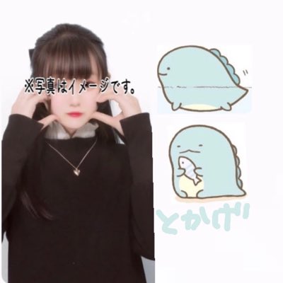 とかげ🖤💚@ (@tokage_shiyun) / Posts / X