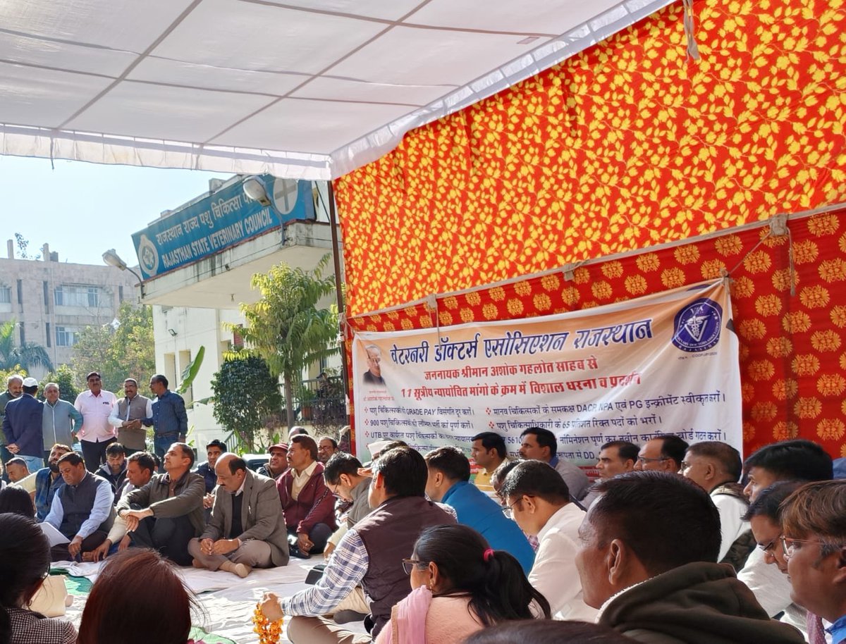LALCHANDDUDI15's tweet photo. #सत्याग्रह_पर_पशुचिकित्सक
#Vets_On_Hunger_Strike
@ashokgehlot51
@KatariaLalchand @_lokeshsharma @1stIndiaNews @Editor_Umang @ABPNews @DainikBhaskar @zeerajasthan_ @RahulGandhi @rakhee_h @kashiram_journo @RajGovOfficial  @AjayUgrasTOI @PandeyKumar313 https://t.co/wqKJDNGebX