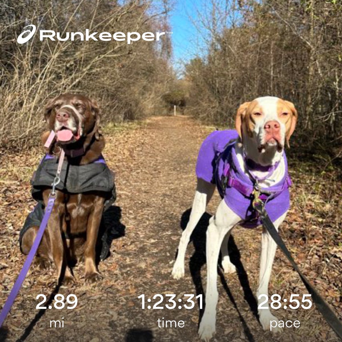CellosCorner's tweet photo. 🥾🐾Croft Farm trails! https://t.co/zPpujPpsRg