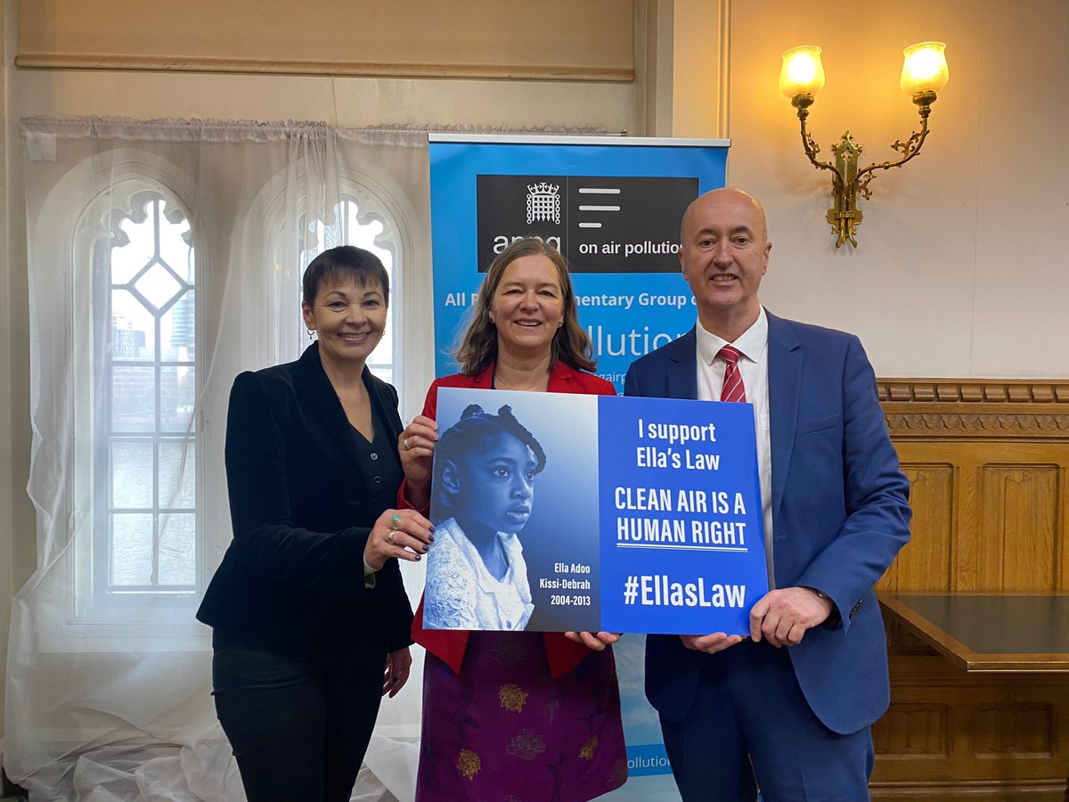Clean Air is a Human Right. 

That is why I’m supporting #EllasLaw. 

No more lives should be lost to dirty, toxic air.

@EllaRobertaFdn @CleanAirLondon