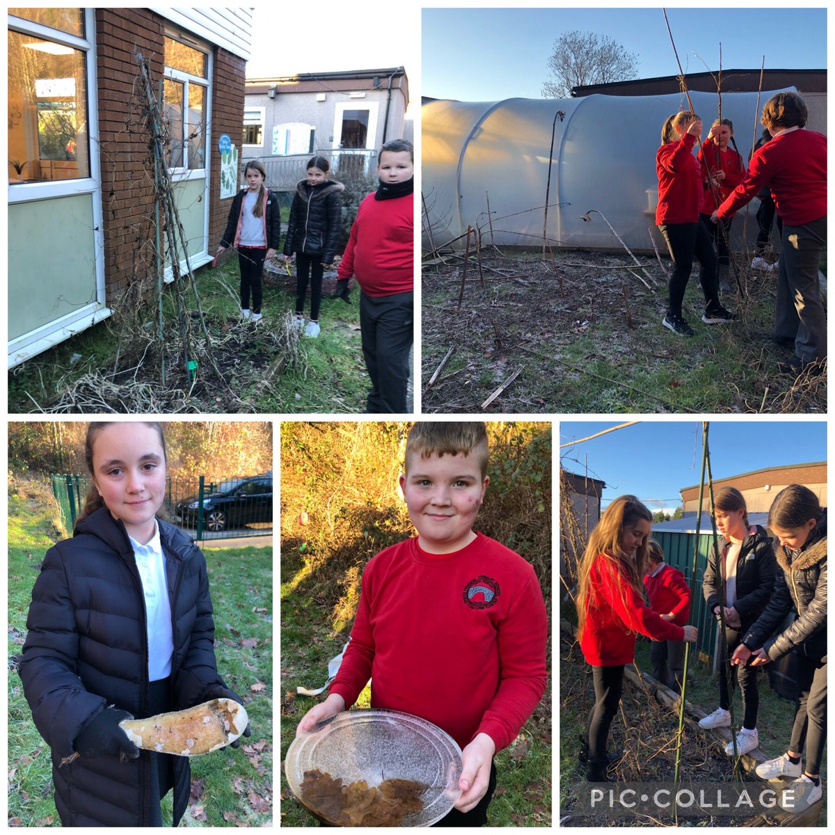 Thank you <a href="/PengamYear5/">Pengam Year 5</a> <a href="/PengamYear6/">Pengam Year 6</a> Gardening Club. I really enjoyed our first after school session. Even though it was cold you all worked hard to get a lot cleared and we found some interesting finds !