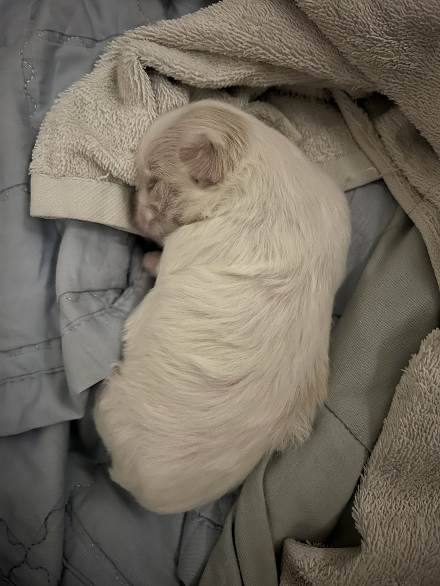 PaiPartith's tweet image. Good night kub