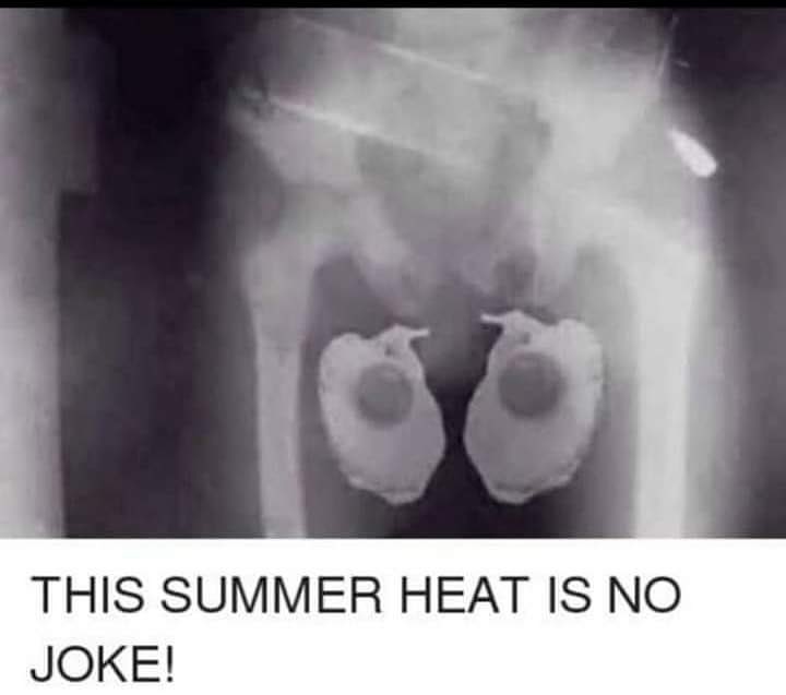 Little hot out today