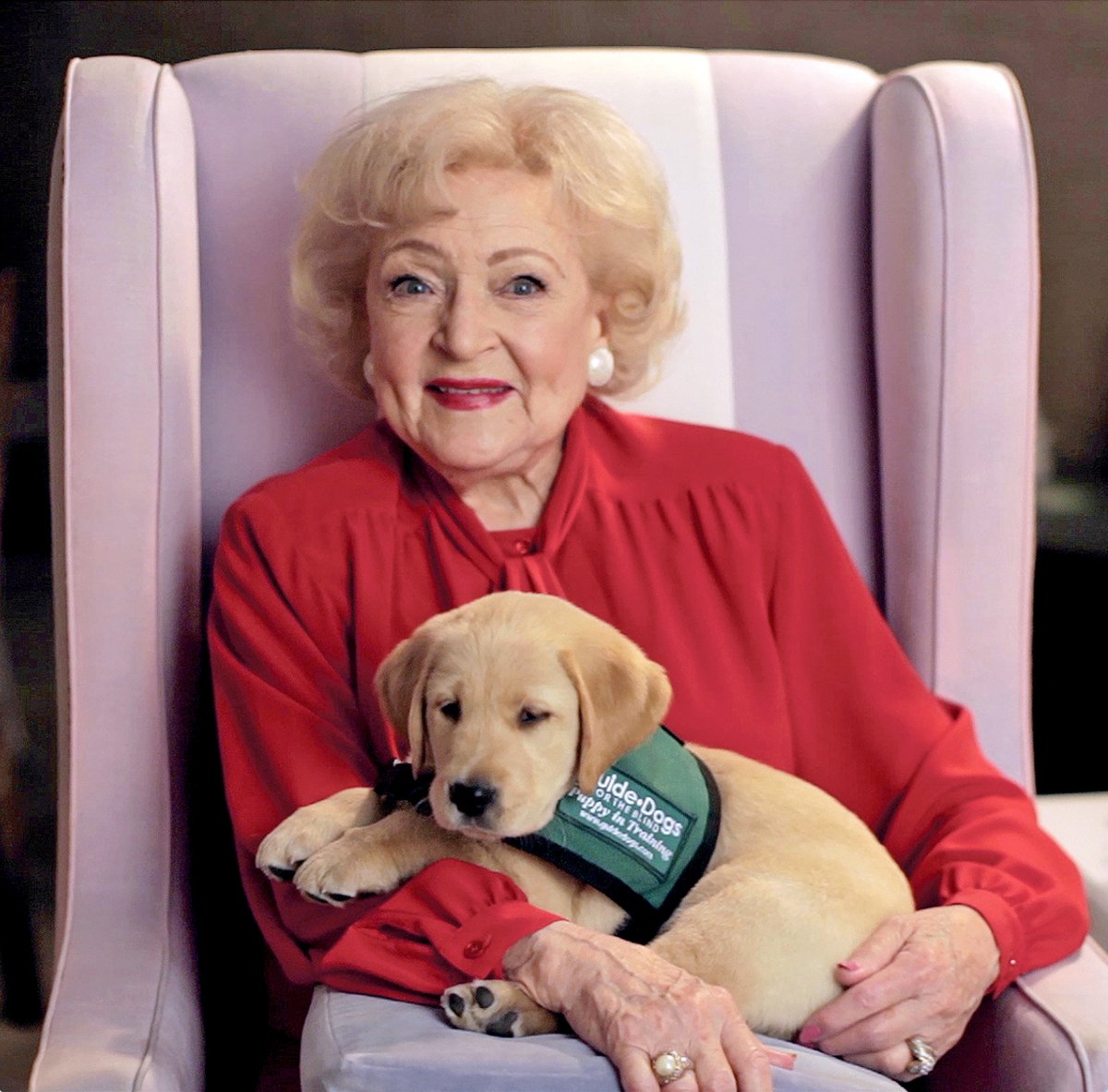 NsamProject's tweet image. Let’s continue to honor Betty White, her love for animals &amp;amp; an animal-rights advocate. Donate to the NSAM, the unsung heroes who have &amp;amp; continue to serve our society. They deserve this honor as Betty White deserves our respect for her dedication. lnkd.in/dNeS29dR
