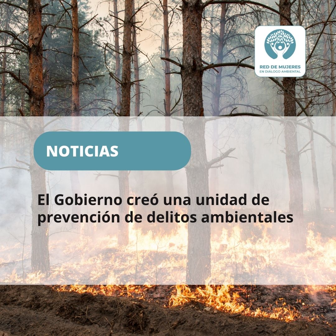 red_dialogo's tweet photo. El Gobierno comunicó bajo la resolución 19/2023, publicada este lunes en el Boletín Oficial, la creación de una Unidad de prevención y detección de #delitosambientales en todo el territorio nacional. Se trata de un área que funcionará bajo la órbita del @MinSeg (sigue) https://t.co/JeLuVRUu4L