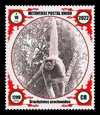 BarBrauner's tweet photo. The Dying Apes stamp collection does not commemorate or honour people but marks an event. Unfortunately, not festive, but sad and dire – the exctinction of species...
#Ape, #Dying, #Apes, #Nature, #Extinction, #Stamp, #Postage, #Metaverse, #Opensea https://t.co/3C4WFD8BOC