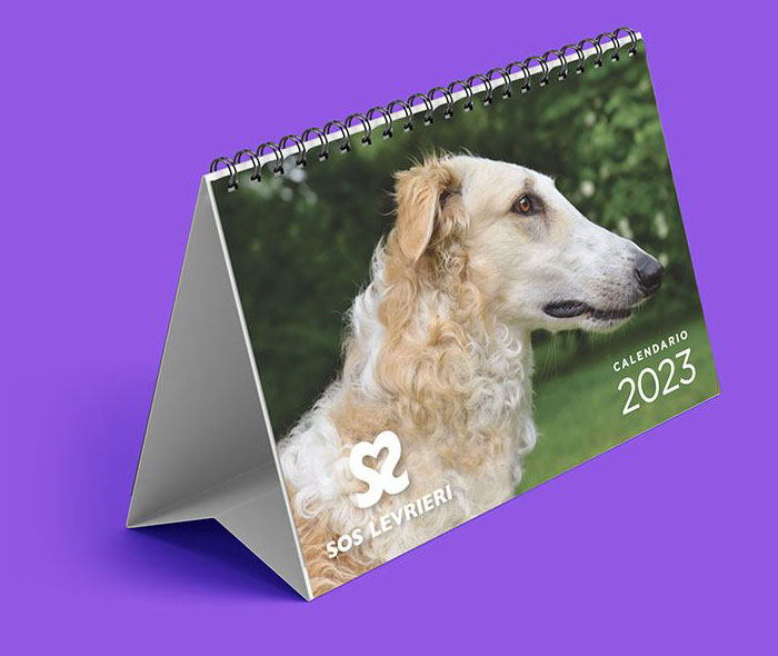 SOS Levrieri tweet media