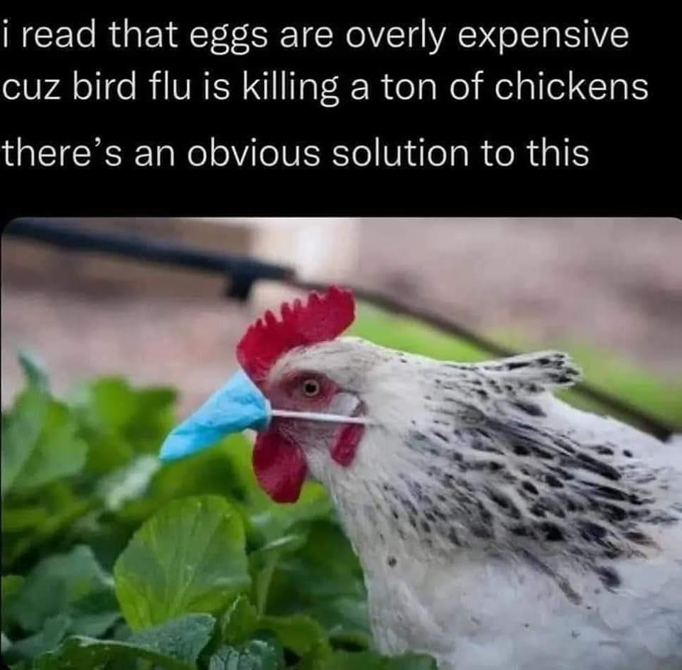 MessiahWoke's tweet photo. Why aren't farmers masking their chickens? We all know that it's extremely effective at slowing the spread. Farmers need to stop being a bunch of chicken anti-maskers! #chickenmask #twoweekstoflattenthecurve https://t.co/BgRwNYc4vo