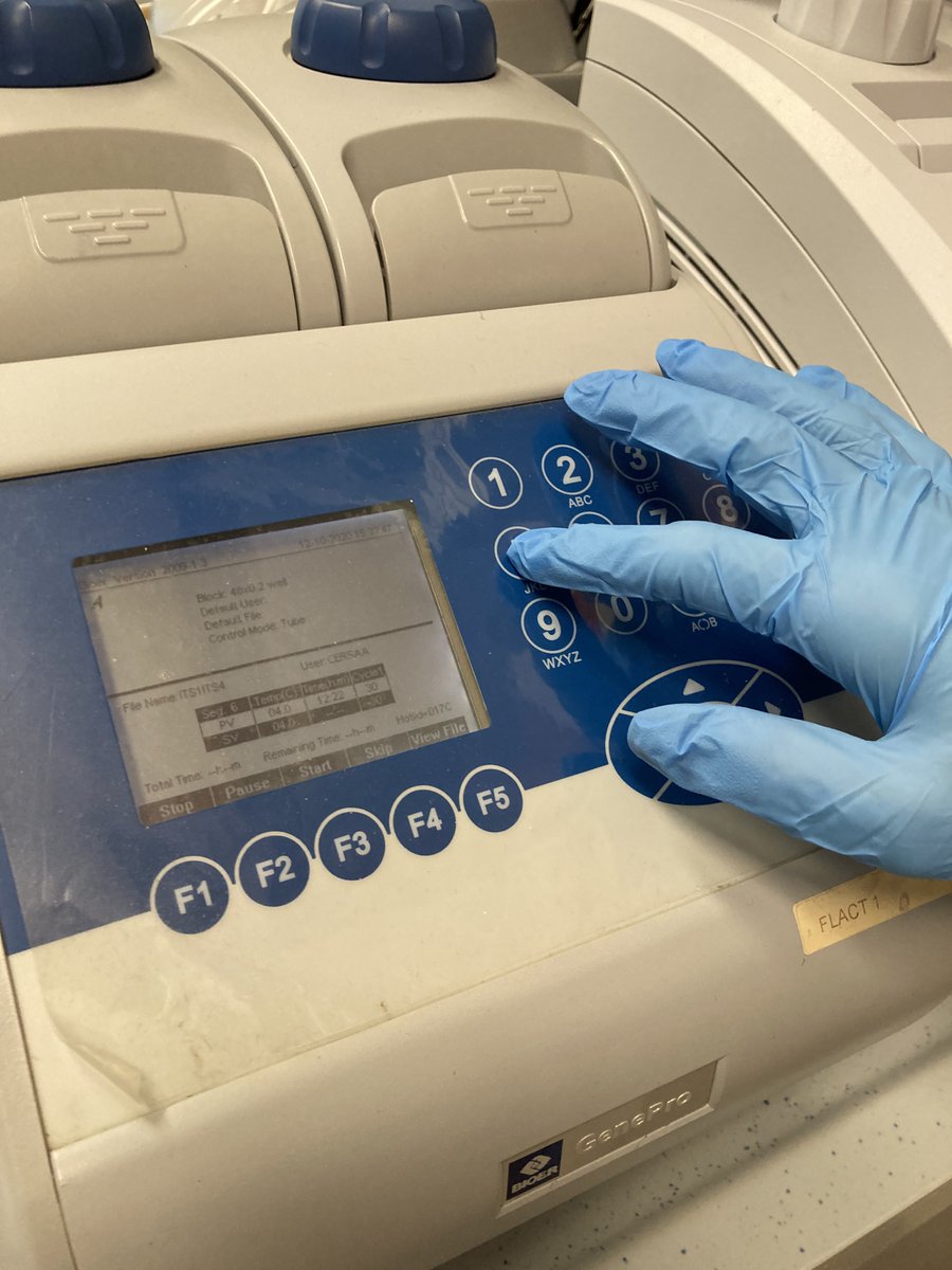 CCIAARIVLIG's tweet photo. 👏il @cersaa_news (azienda speciale della Camera di Commercio con sede in regione Rollo ad Albenga) al primo posto tra i laboratori europei per la diagnostica fitopatologica! Leggi l'articolo: 
↘️ https://t.co/ISEelcuwEH @ivgit 
@giovanni_minuto #cersaa #cciaarivlig https://t.co/g2rzDEWI9d