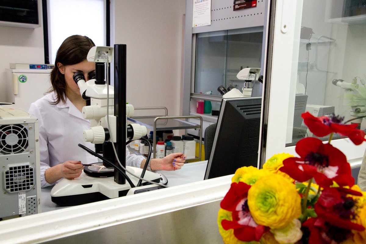 CCIAARIVLIG's tweet photo. 👏il @cersaa_news (azienda speciale della Camera di Commercio con sede in regione Rollo ad Albenga) al primo posto tra i laboratori europei per la diagnostica fitopatologica! Leggi l'articolo: 
↘️ https://t.co/ISEelcuwEH @ivgit 
@giovanni_minuto #cersaa #cciaarivlig https://t.co/g2rzDEWI9d