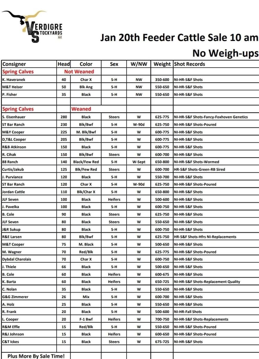 Gonna be a lot of good calves in Verdigre this week