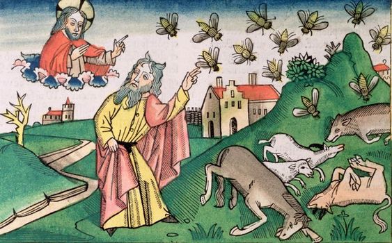 _learn_hebrew's tweet photo. Shalom, dear friends, join us for a live conversation on youtube and discord in 30 minutes. In the picture copy of a 15th-century German manuscript depicting the plague of insects https://t.co/eNf10sxrXS