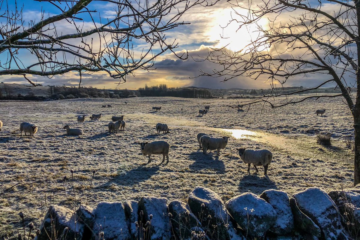 This mornings stroll #snow #scotland #ice