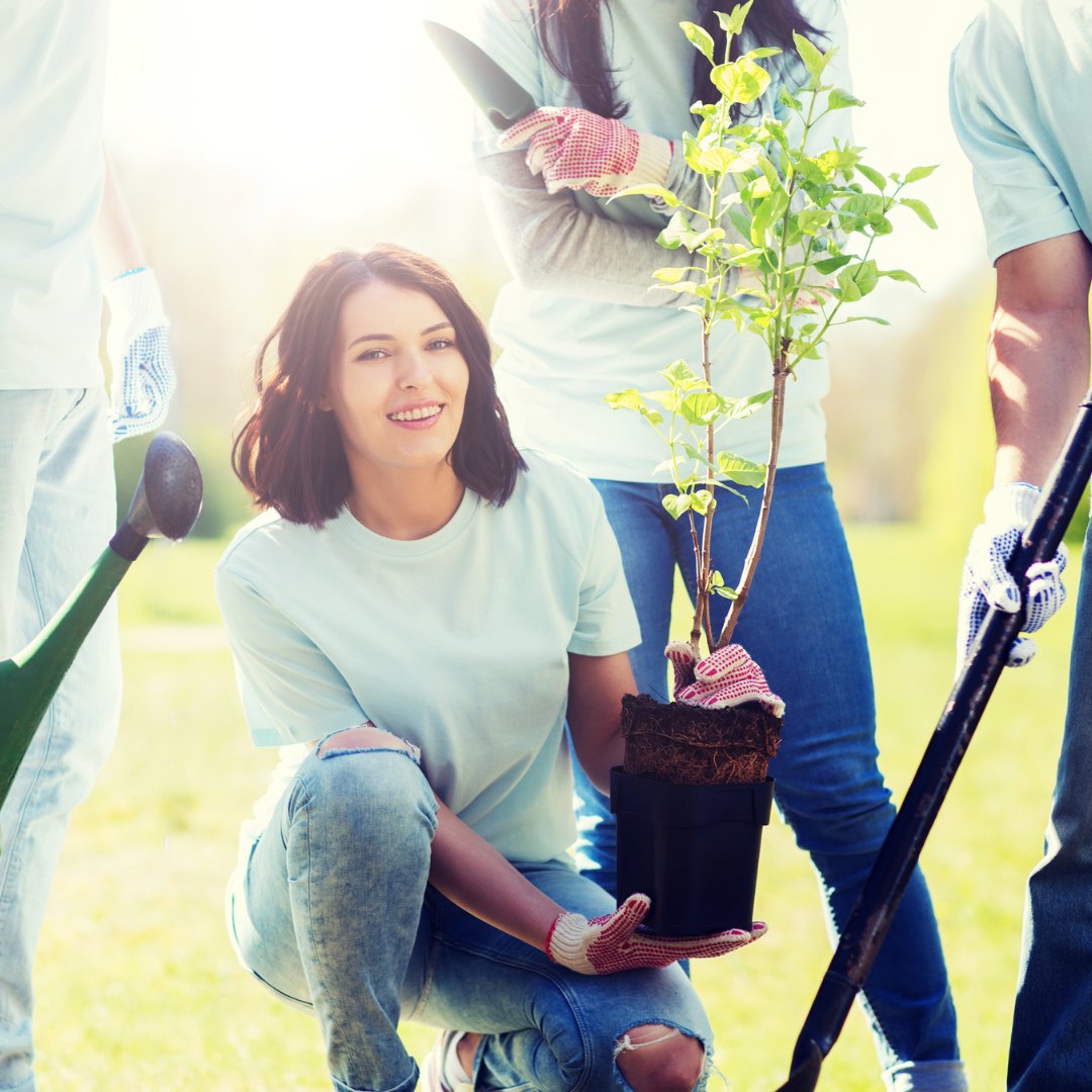 DevonCC's tweet photo. 🌲😃 We're looking for volunteers to help plant native trees in Devon under The @WoodlandTrust's #EmergencyTreeFund with ParkLife SW!
If you’d like to get involved, please fill out this form: https://t.co/an5xBVh6Ya https://t.co/hpdQykBlaq