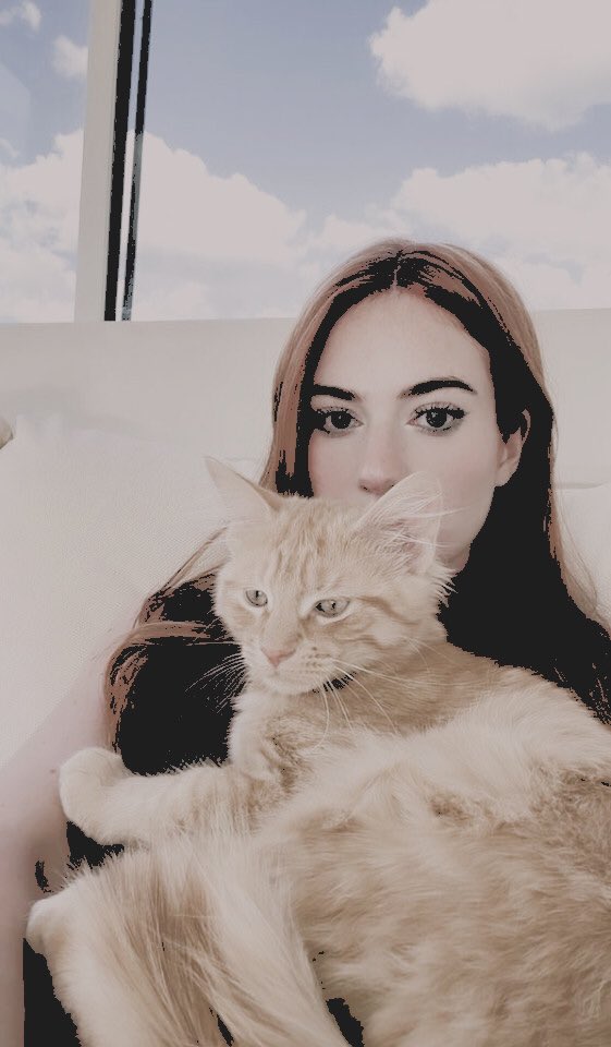INVESTlGATOR's tweet photo. ⠀
 
             𝗧𝗔-𝗗𝗔𝗛——  they  said 
             they  wanted  to  see  her
             𝒑𝒖𝒔𝒔𝒚,  so … 

⠀ https://t.co/nAMMClSEhN