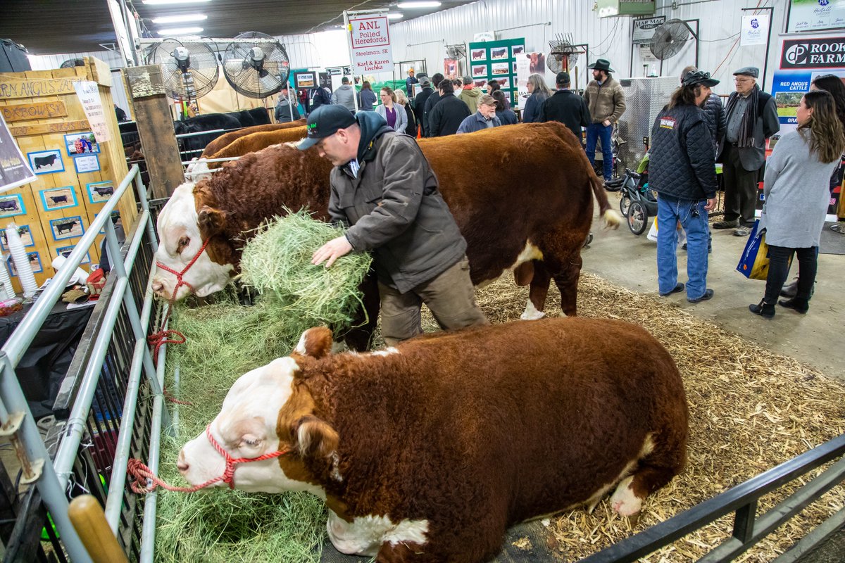 Day 1 of Ag Days kicks off TODAY at 9 AM!

$20.00 at the door daily, or $40.00 for a 3-day pass.

Stop by early for the Ag Days Kick-Off Breakfast
7:30 AM - 9:00 AM at Roadhouse. 

#AgDays23