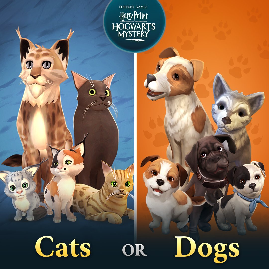 Harry Potter: Hogwarts Mystery on X: The #Caturday before #Halloween calls  for some familiar orange and black cats. Show us yours!   / X