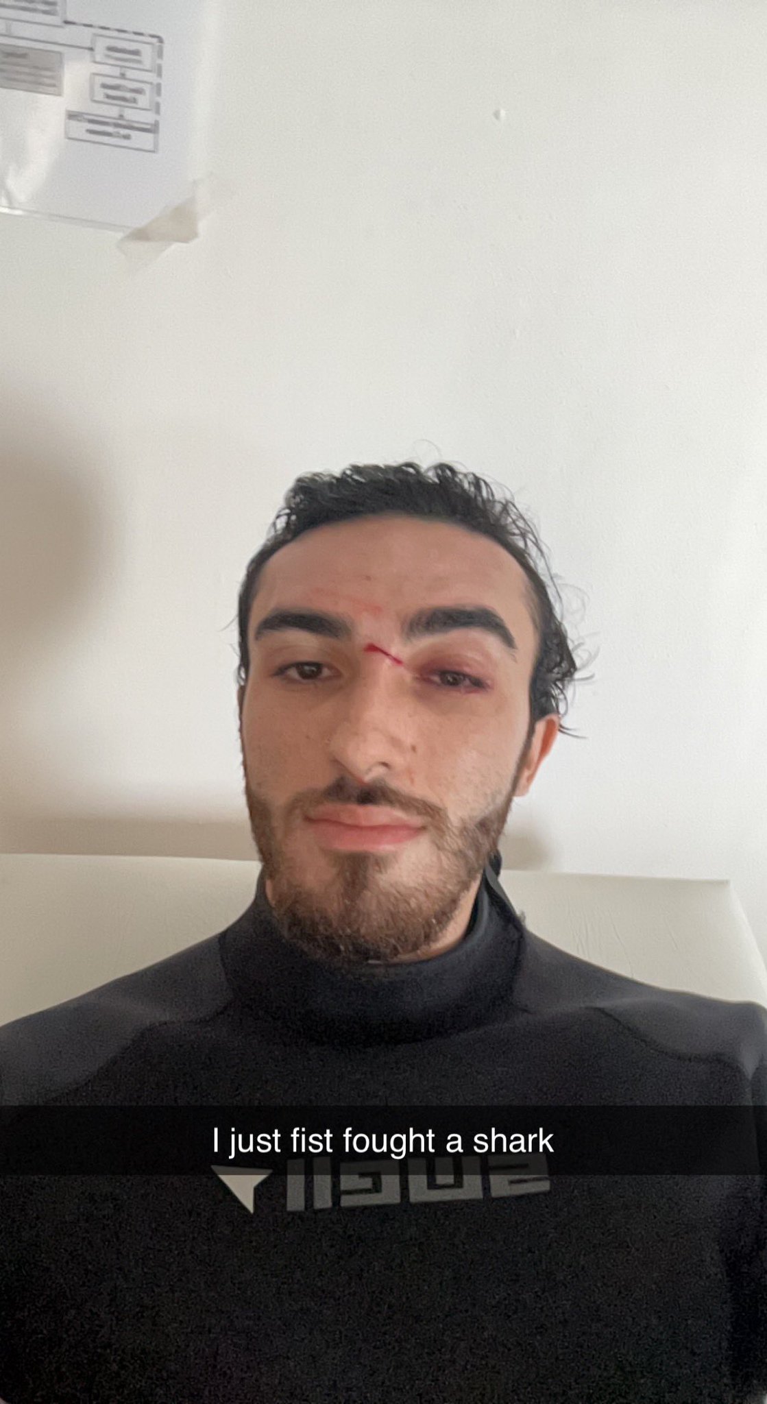 TW Pornstars - 1 pic. Gino Zanetti. Twitter. Surfing was fun. 2:07 PM