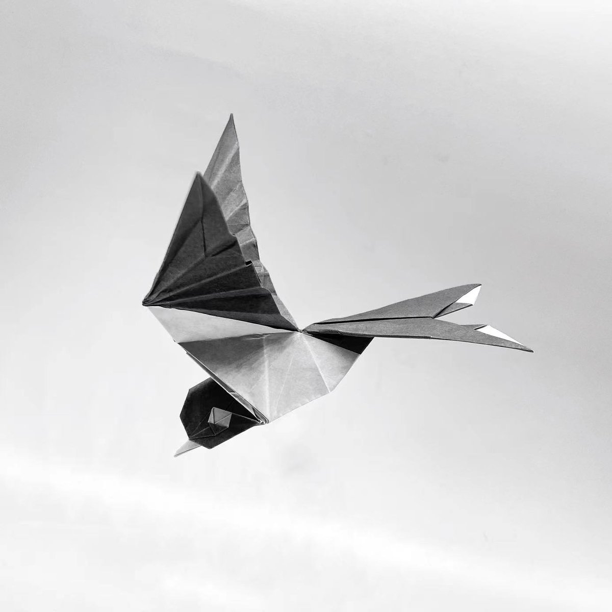 #origami
Swallow
designer&amp;📂：me