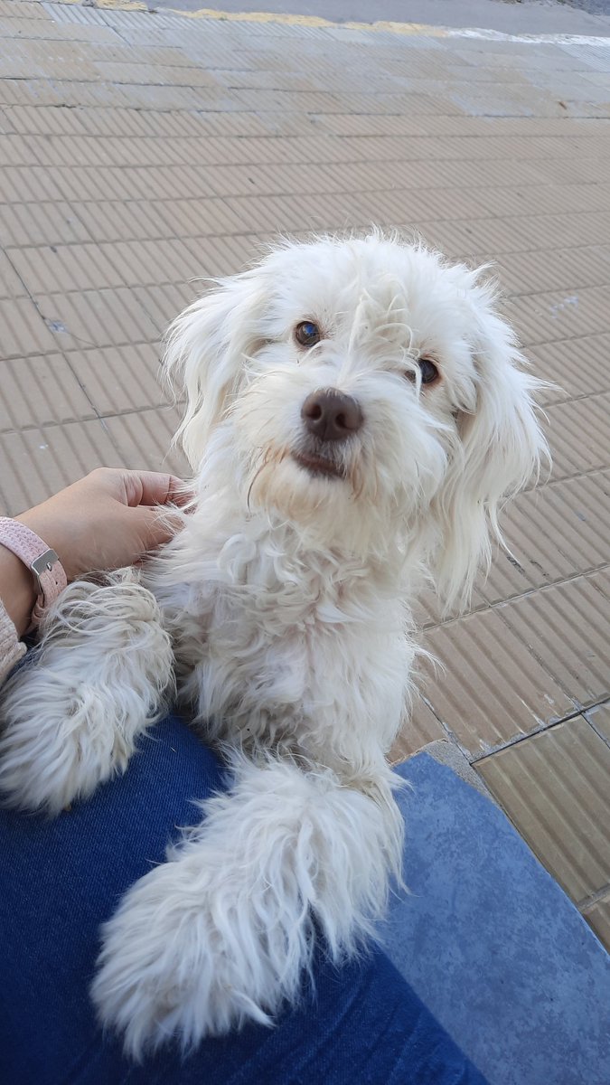 CamiWolter's tweet photo. Su mejor decisión seguirme a casa, mi mejor decisión que se quede conmigo 💙 Azul 💙 https://t.co/v20ncH12Fm