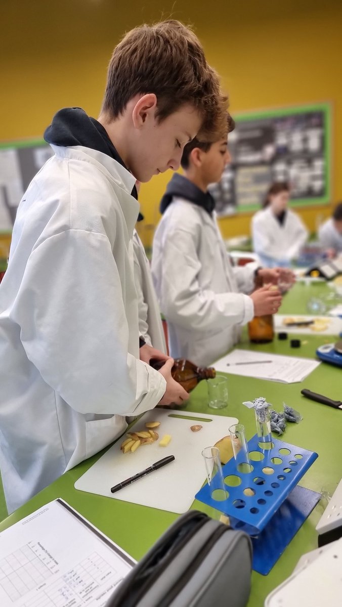 Let's do some #Osmosis! Who remembers the partially permeable membrane? 🥔💧