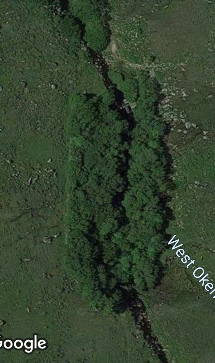 Eoghan Daltun 🌍 tweet media