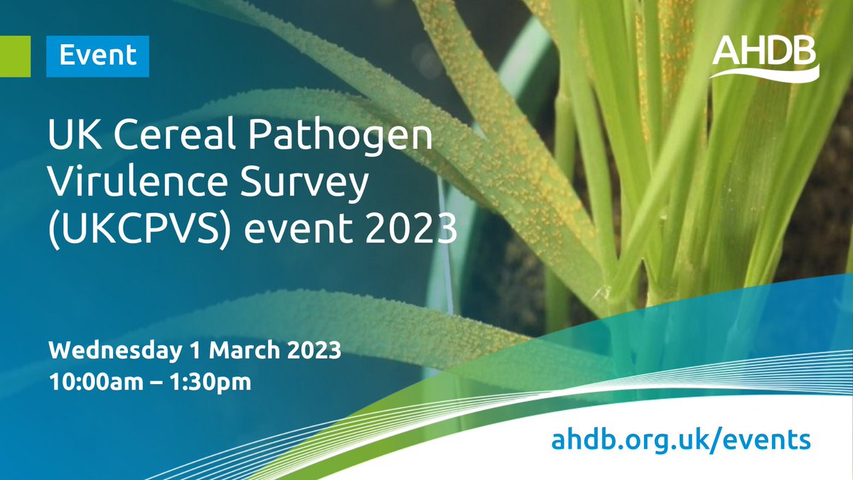 AHDB_Cereals's tweet photo. Interested in cereal pathology (especially #rusts &amp; #mildew) and varietal resistance? Then book on to the 2023 #UKCPVS webinar with @niabgroup  https://t.co/pLzndt3yXi https://t.co/RKg6k7vhfD