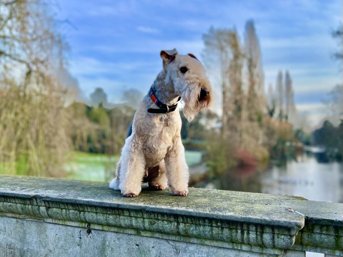 Bertie Lakeland tweet media