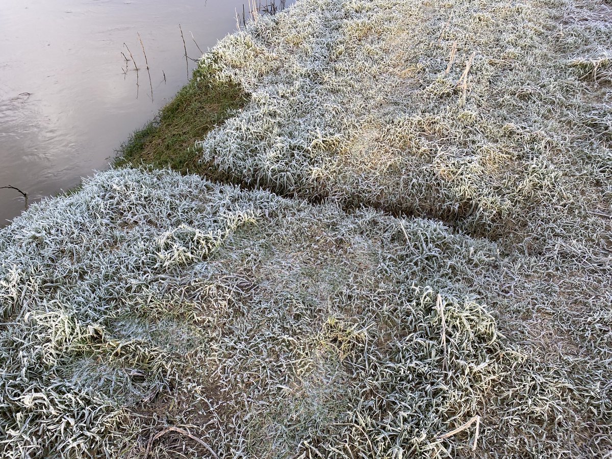 ⁦<a href="/SussexWildlife/">Sussex Wildlife Trust 🦔</a>⁩ what would have made this? Water Rat?