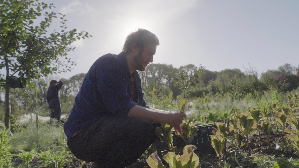 SchumacherColl's tweet photo. 🥦🧅🥕🍅🥒🍆🫑 
A few spaces have opened up on our 6-month horticulture residency 2023! The Practical Residency in Agroecology teaches you all you need know to grow food &amp; practice horticulture whilst working with nature &amp; biological cycles. 
Apply here👇 
https://t.co/Q8ewLxpnUP https://t.co/okEmV6CMrX