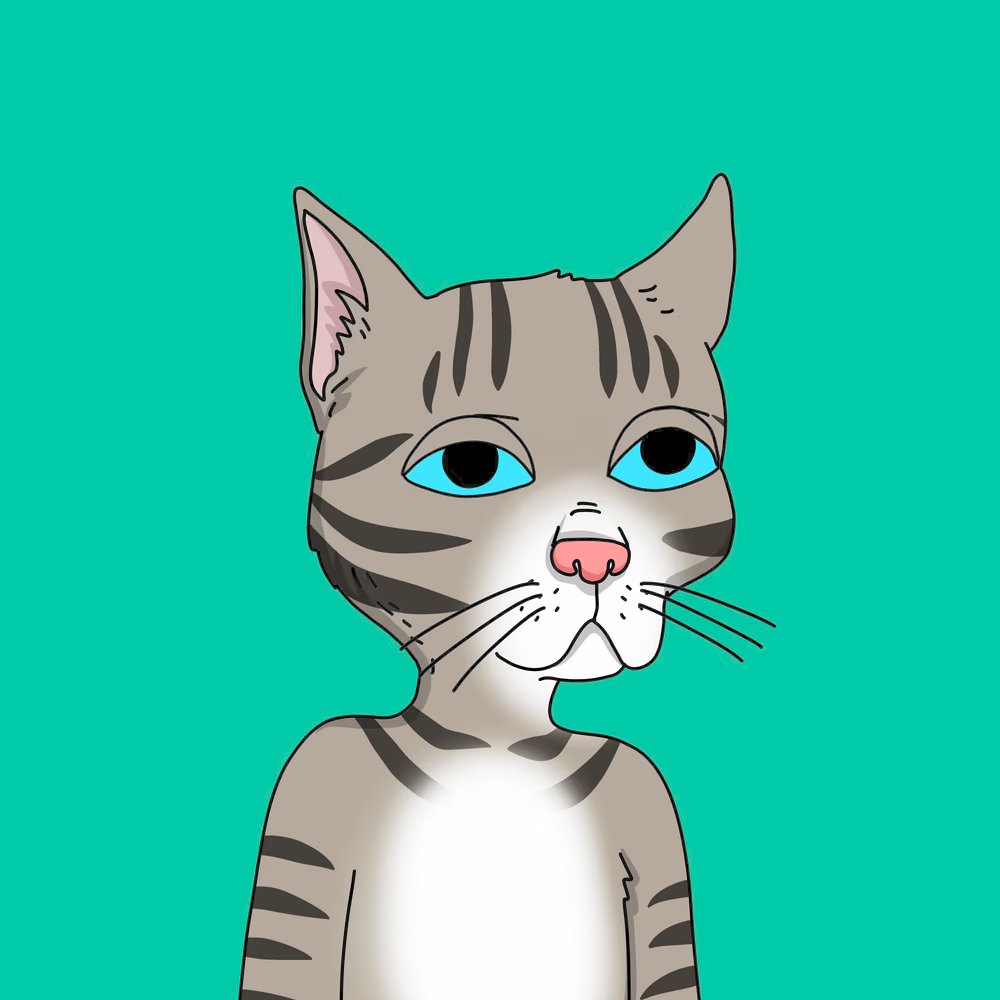 Jimmy “The Vig” Cats tweet media