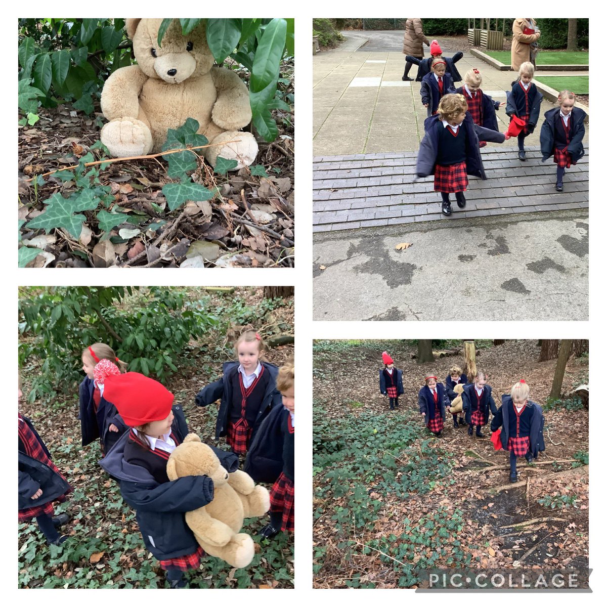 TH Kindergarten tweet media